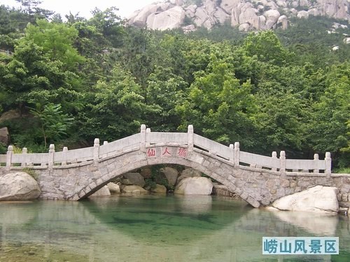 青岛东海路仰口海鲜_青岛仰口风景区_海宁市仰山小学图片